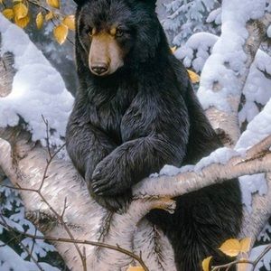 Meet your Posher, Leyna